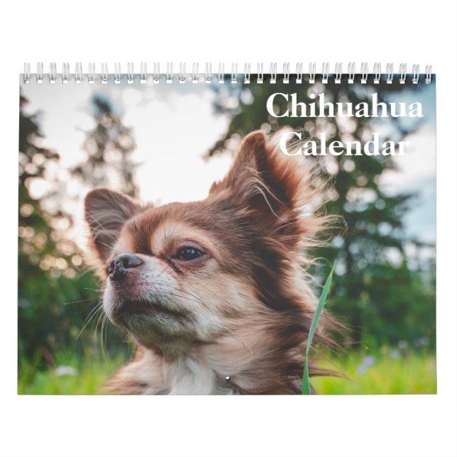 Calendario Chihuahua 2025 (Tapa)