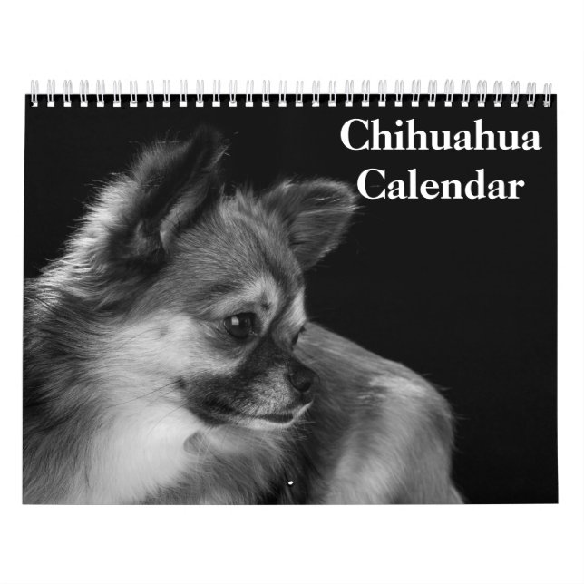 Calendario Chihuahua 2025 (Tapa)