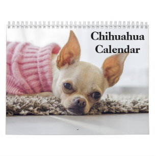 Calendario Chihuahua 2025