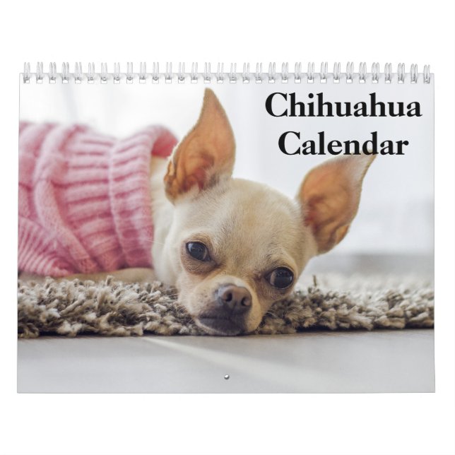 Calendario Chihuahua 2025 (Tapa)