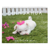 Calendario Chihuahua 2026 agrega tus fotos