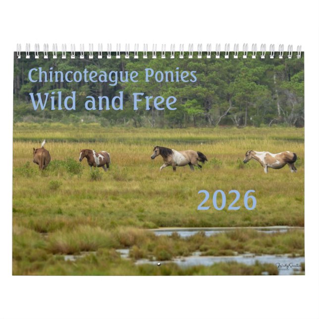 Calendario Chincoteague Ponies Wild and Free 2026 Calendar (Tapa)