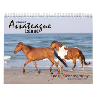 Calendario Chincoteague Pony