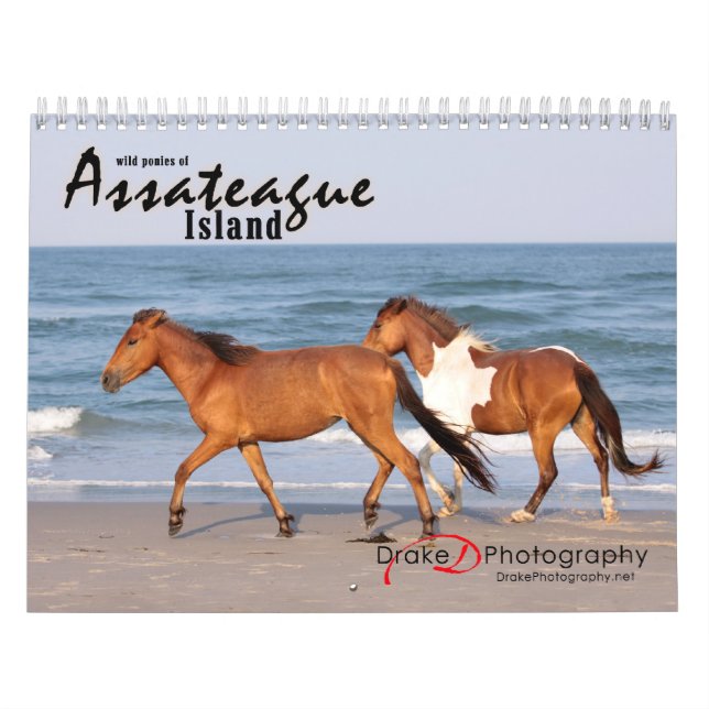 Calendario Chincoteague Pony (Tapa)