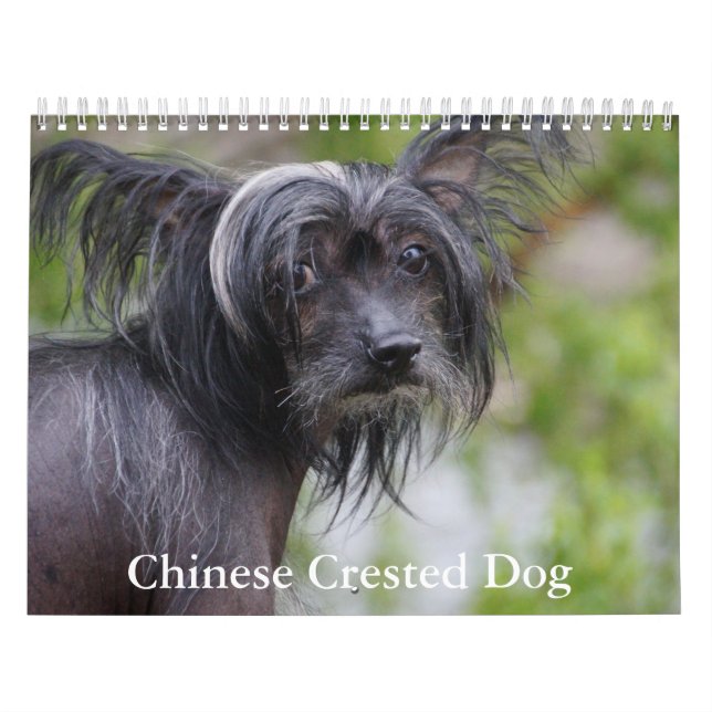 Calendario chino de perros en reposo (Tapa)