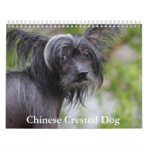 Calendario chino de perros en reposo