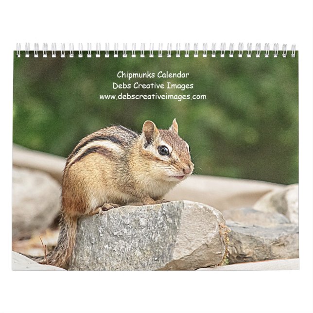 Calendario Chipmunk 2026 (Tapa)