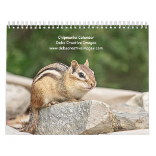 Calendario Chipmunk 2026