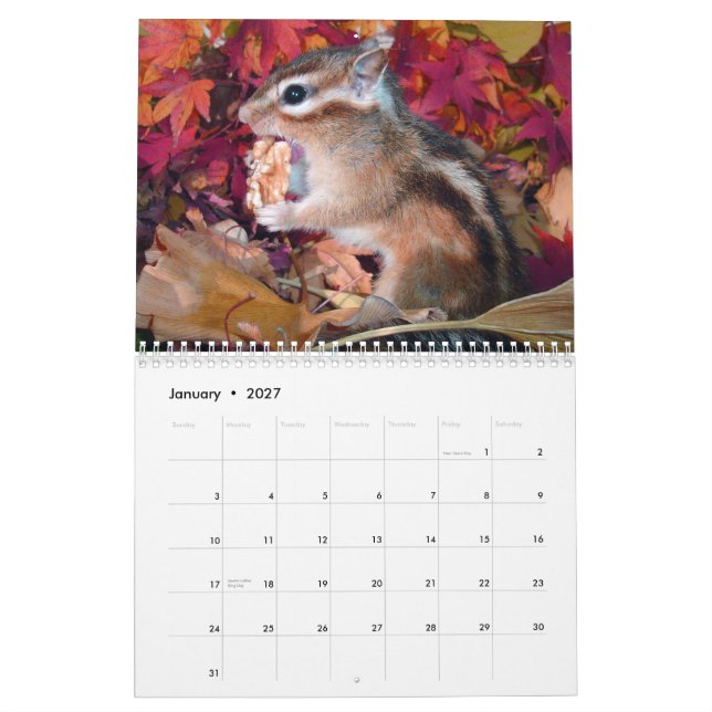Calendario chipmunk,Squirrel,photo,calendar (Jan 2027)