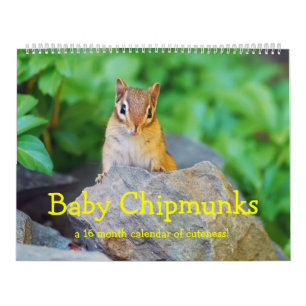 Calendario Chipmunks 2016/2017 (calendario del bebé de 16
