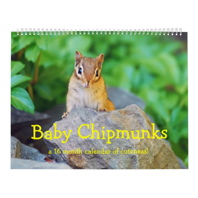 Calendario Chipmunks 2016/2017 (calendario del bebé de 16 (Tapa)