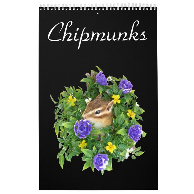 Calendario chipmunk's calendar  (All countries) (Tapa)