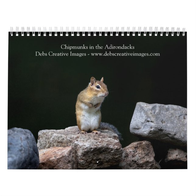Calendario Chipmunks en los Adirondacks 2026 (Tapa)