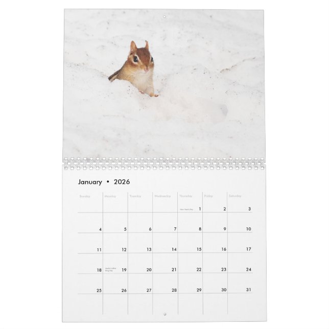 Calendario Chipmunks lindos locos 2011 (Jan 2026)