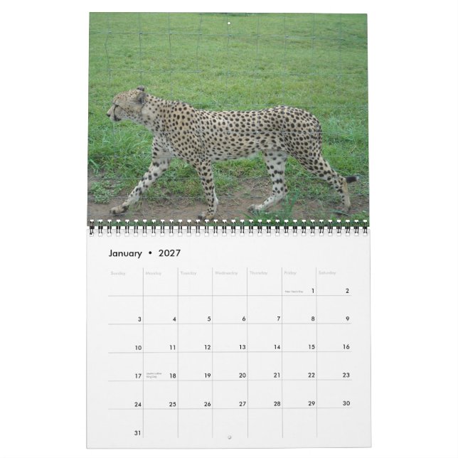 Calendario Chita 2014 (Jan 2027)