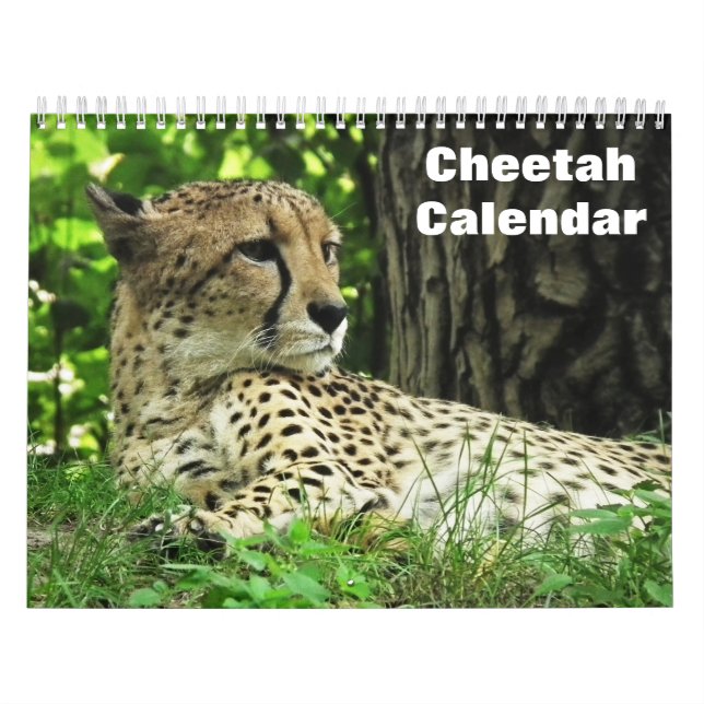 Calendario Chita 2025 (Tapa)