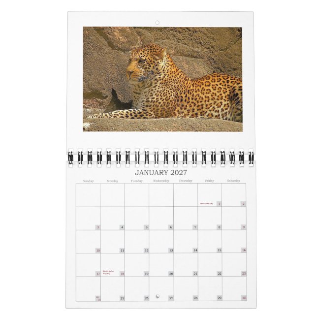 Calendario chita-cobs, NORPHLET, LEOPARDS (Jan 2027)