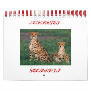 Calendario chita-cobs, NORPHLET, LEOPARDS