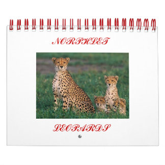 Calendario chita-cobs, NORPHLET, LEOPARDS