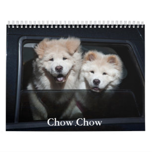 Calendario Chow Chow Dog
