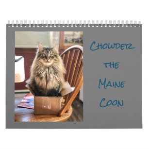 Calendario Chowder the Maine Coon Calendar