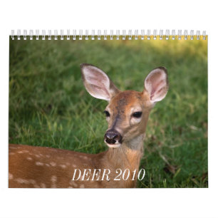 CALENDARIO CIERVOS 2010