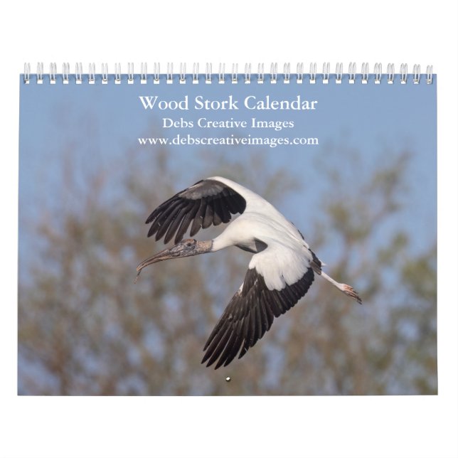 Calendario Cigüeñas de madera de Florida 2027 (Tapa)
