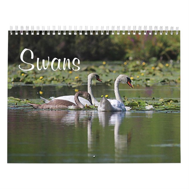 Calendario Cisnes (Tapa)