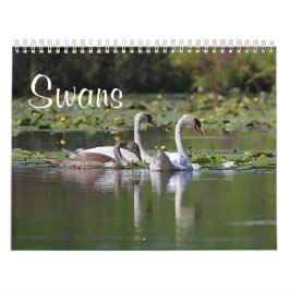 Calendario Cisnes