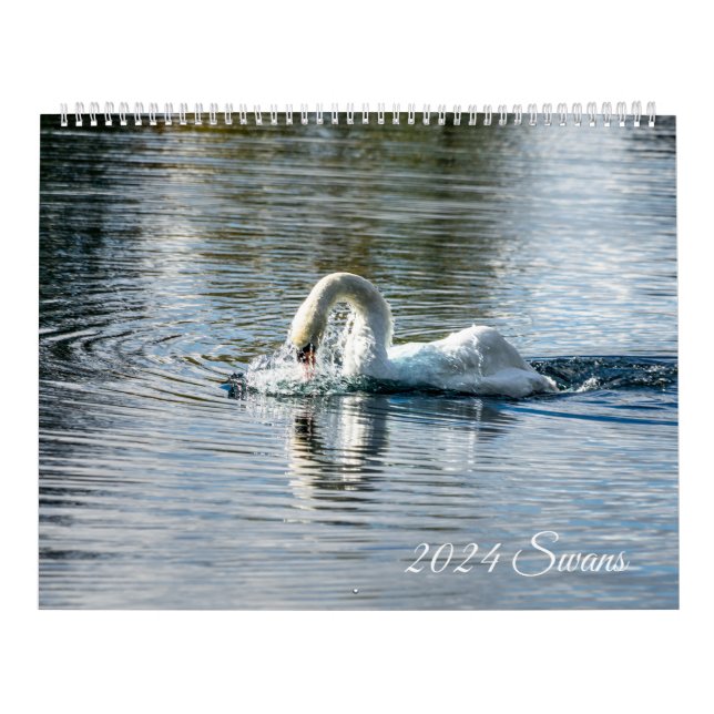 Calendario Cisnes 2024 (Tapa)