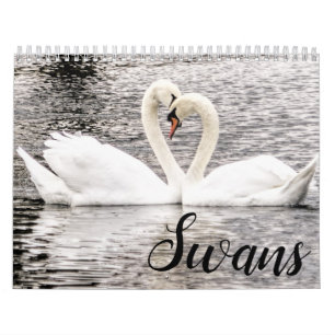 Calendario Cisnes de primavera