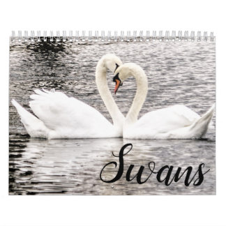 Calendario Cisnes de primavera