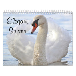 Calendario Cisnes elegantes