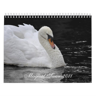 Calendario Cisnes mágicos 2011