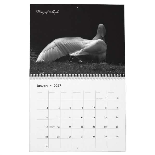 Calendario Cisnes mágicos 2011 (Jan 2027)
