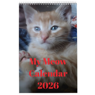 Calendario Citas de fotos de gatos Personalizar Diversión