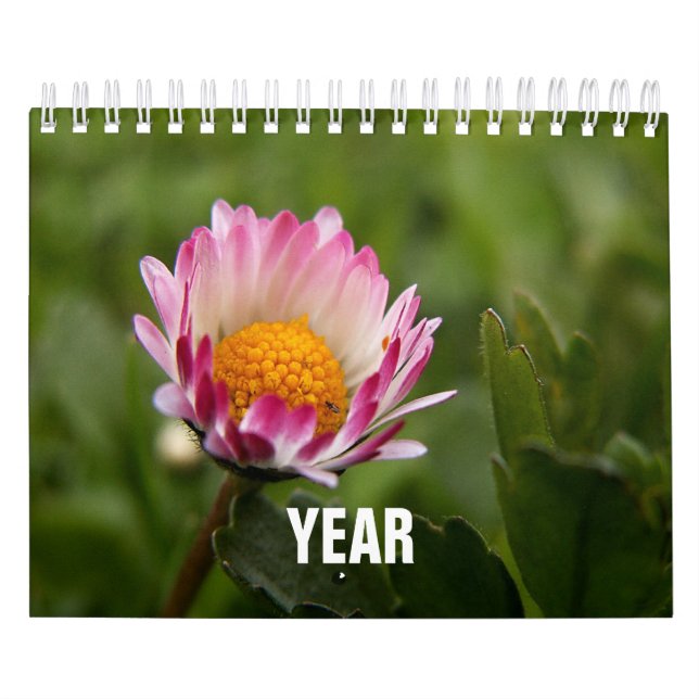 Calendario Clásico, Familar (Tapa)