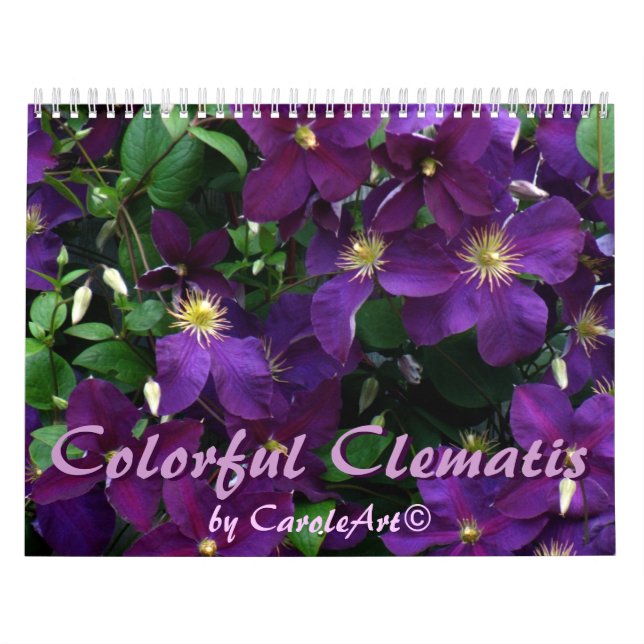 Calendario Clematis colorido 2013 de Z (Tapa)
