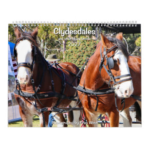 Calendario Clydesdales y otras razas de caballos pesados 2027