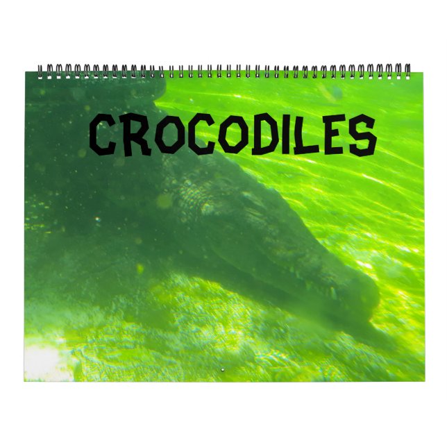 Calendario cocodrilo  (Tapa)