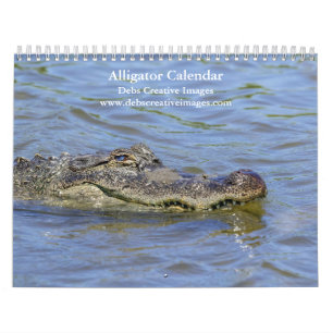 Calendario Cocodrilos Salvajes de 2027 en Florida   Everglade