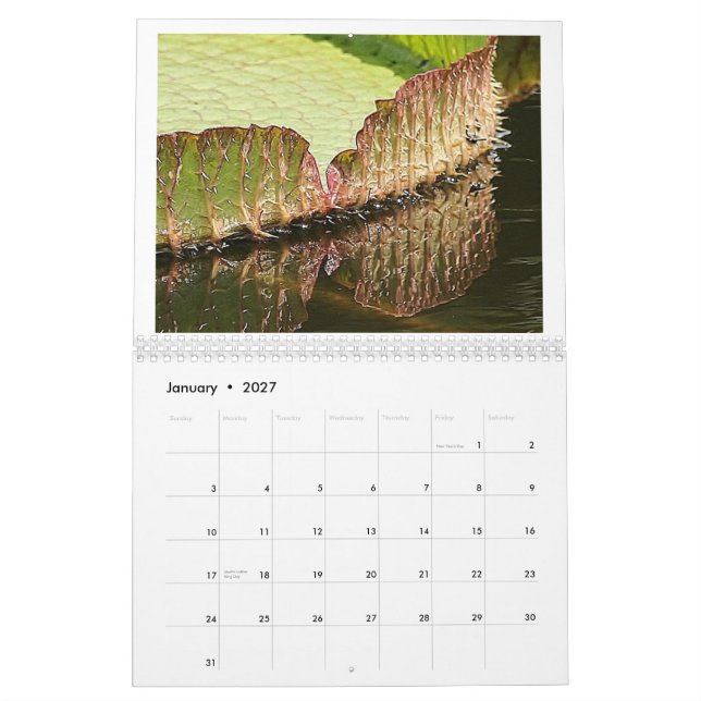 Calendario Cojines de lirio gigantes 2013 (Jan 2027)