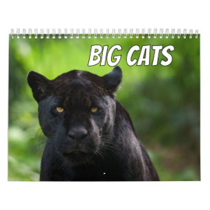 Calendario Colección de Grandes Felinos Signature 2027