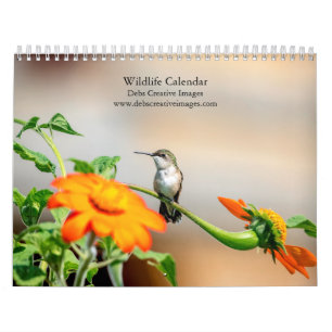 Calendario Colección de Vida Silvestre 2027   Naturaleza de N