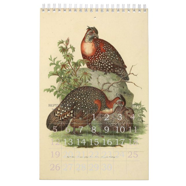 Calendario Colección del ilustracion de los pájaros del (Sep 2027)