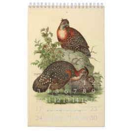 Calendario Colección del ilustracion de los pájaros del