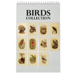 Calendario Colección del ilustracion de los pájaros del