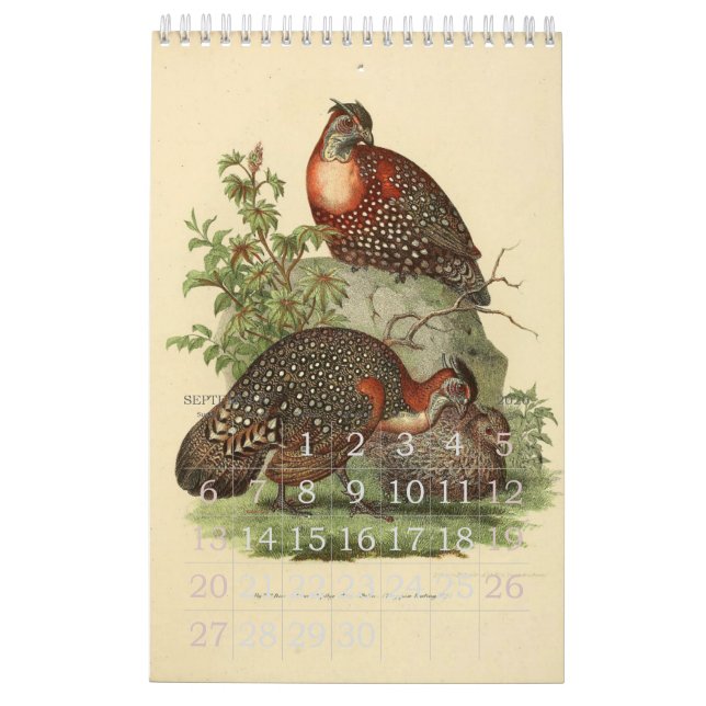 Calendario Colección del ilustracion de los pájaros del (Sep 2026)