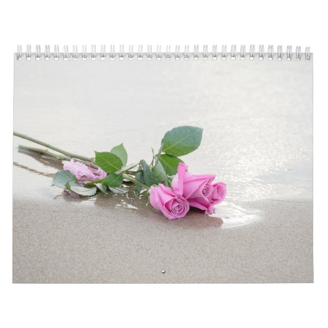 Calendario Colección fotográfica (Tapa)