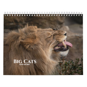 Calendario Colección Gatos Salvajes Atemporales 2027